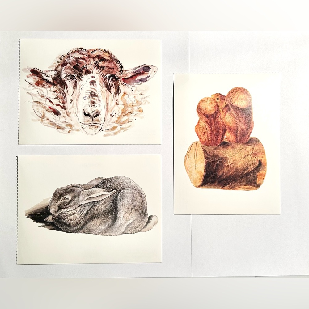 Set of 3 Animal Art Prints / Unused Postcards - Sheep, Rabbit & Squirrels